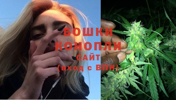 шишки Инсар