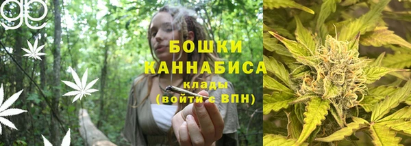 ГАЛЛЮЦИНОГЕННЫЕ ГРИБЫ Балахна