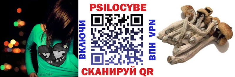 Галлюциногенные грибы Psilocybe  Баксан 
