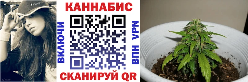 блэк спрут ссылка  Баксан  Каннабис марихуана 